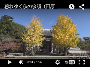 動画のサムネイル4