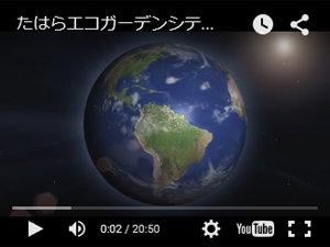 動画のサムネイル7