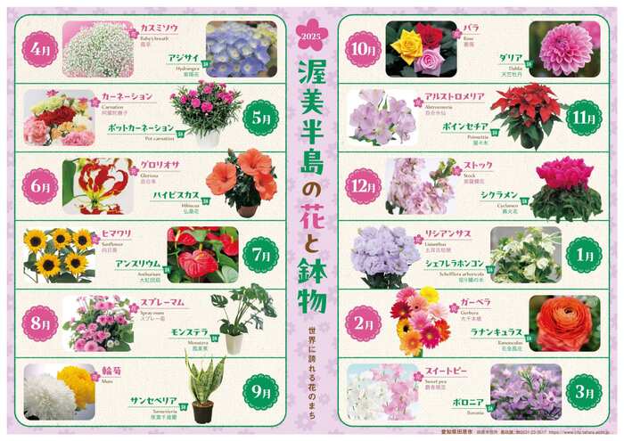 渥美半島の花と鉢物年間カレンダー