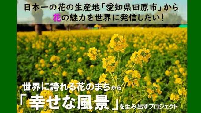 菜の花