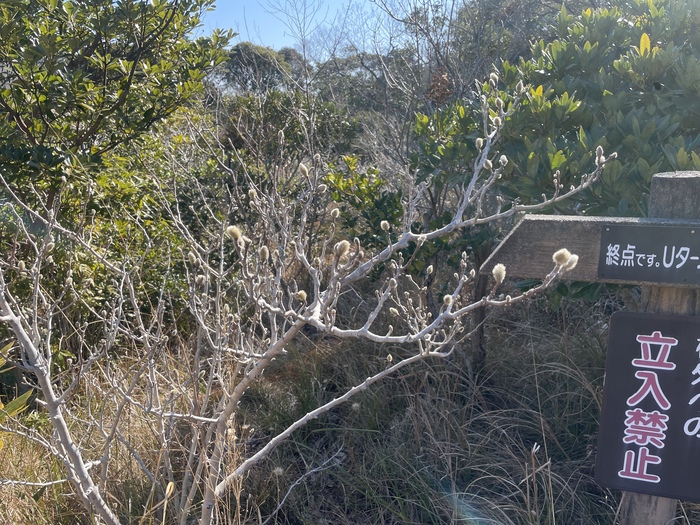 藤七原湿地植物群落
