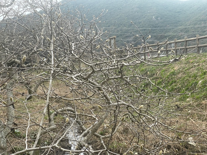 3月2日（月曜日）